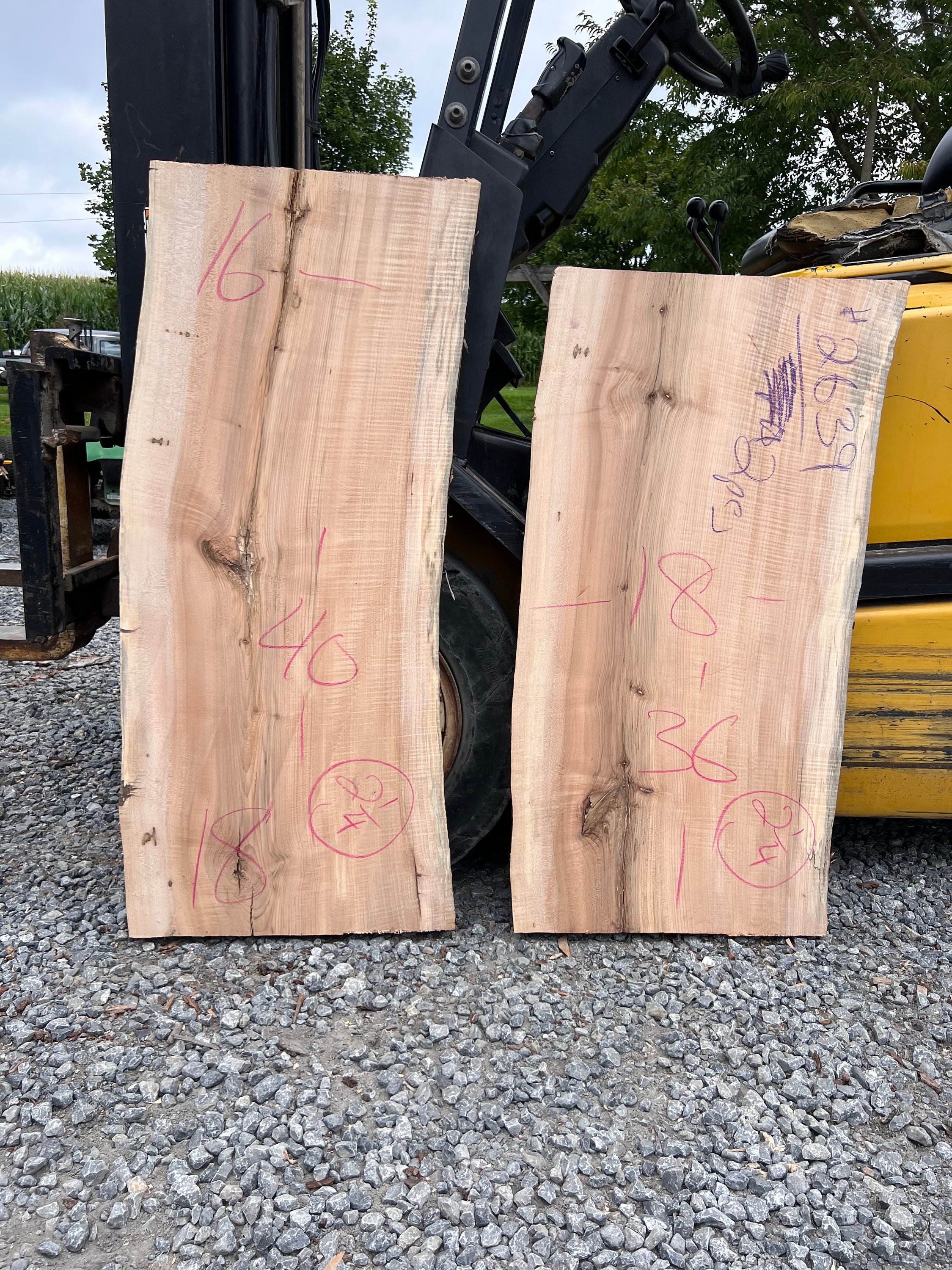 Losas de arce con borde vivo n.° 2639 (2 piezas)