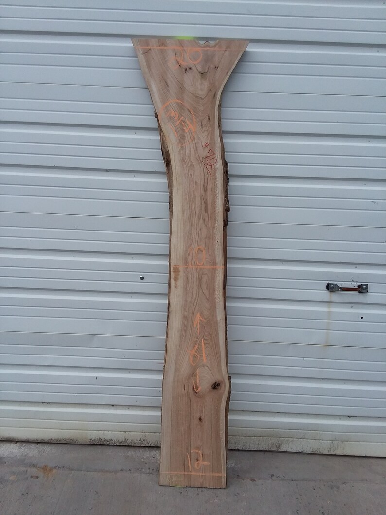 Walnut Live Edge Slab #712