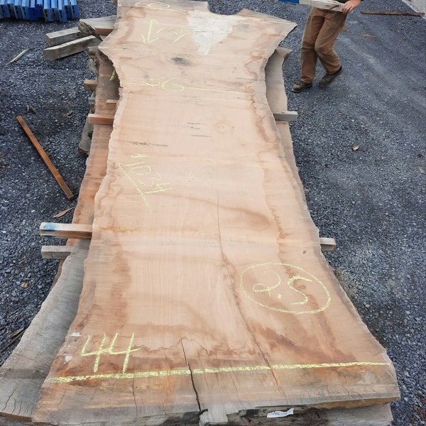 Large White Oak  Slab # 1034