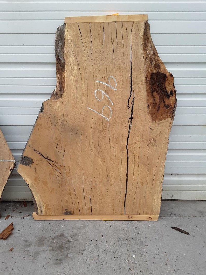 White Oak Slab #969 *KNARLY*