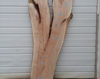 Maple Live Edge Slab #248