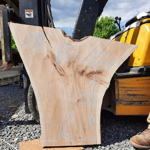 Butternut Live Edge Slab # 1555