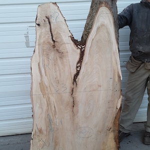 May include: A large, light brown wood slab with a natural edge. The slab has a unique grain pattern and is marked with measurements in inches. The slab is approximately 39 inches wide, 61 inches tall, and 33 inches deep.