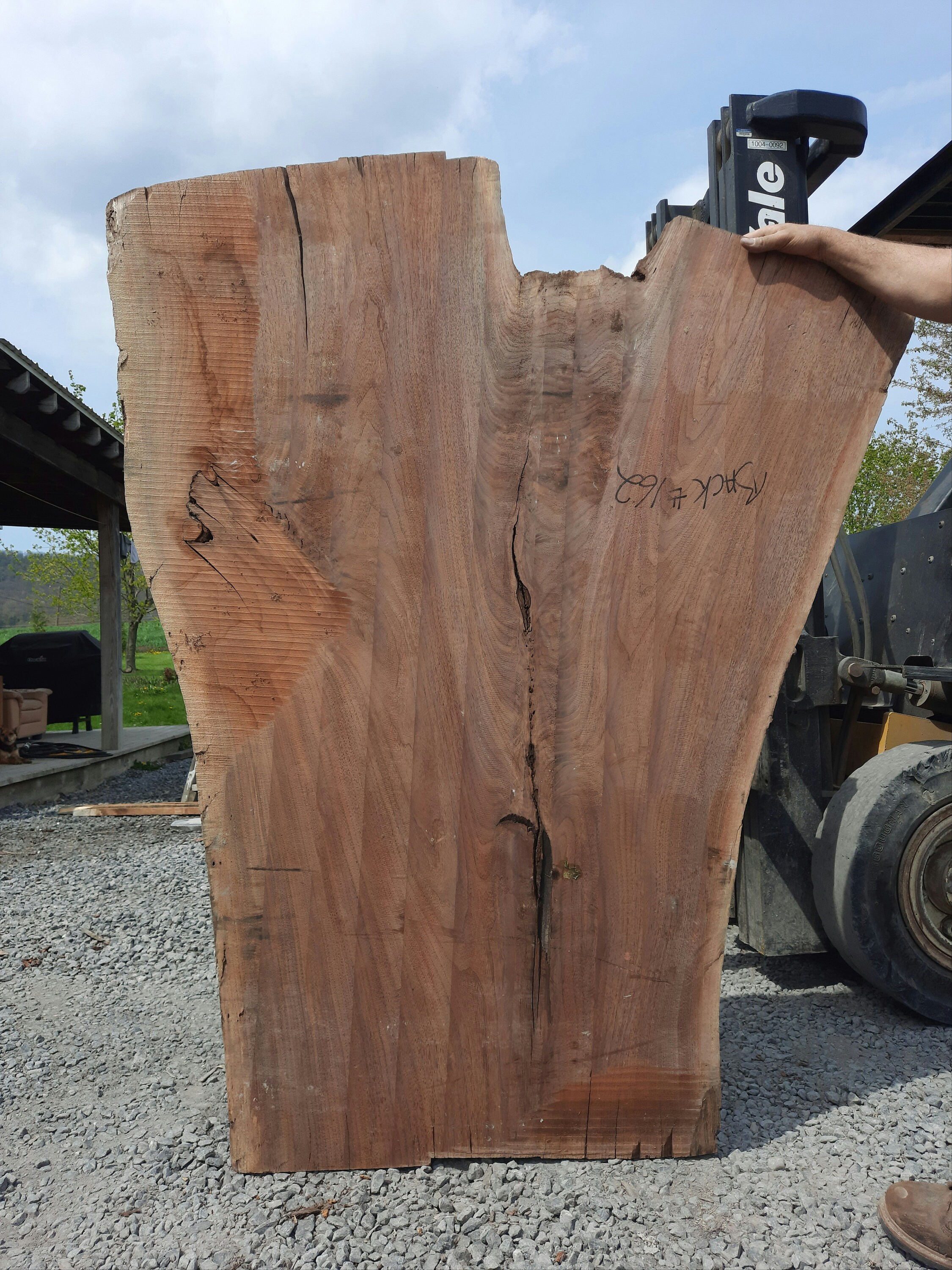 Walnut Slab 162 Etsy