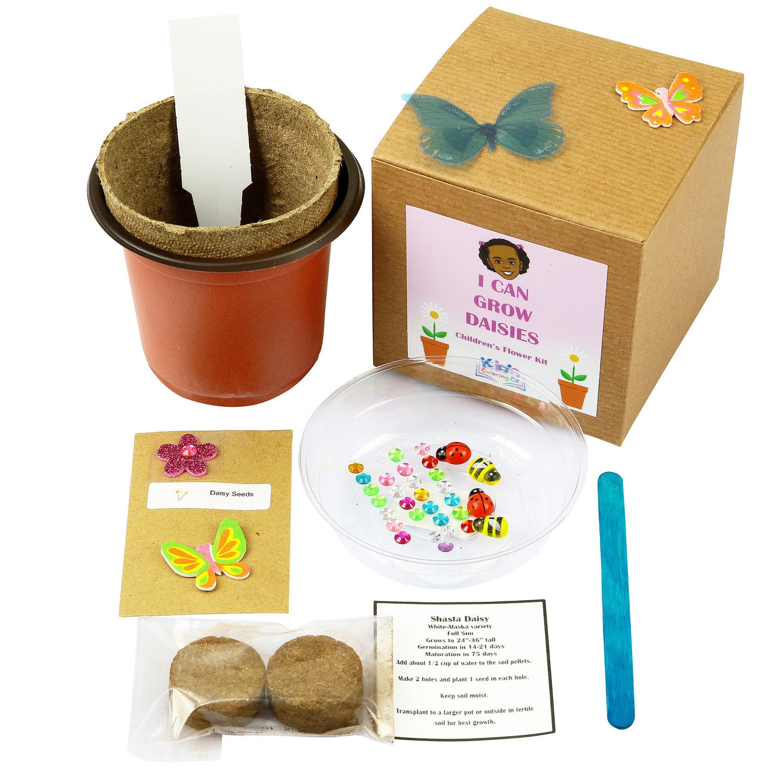 Children's Daisies Flower Kit Craft Kit Garden Kit Flower Garden Flower