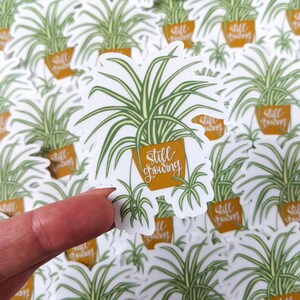 Sticker transparent qui pousse toujours / / Sticker vinyle transparent / / Sticker plante / / Stickers bouteille d'eau / / Sticker ordinateur portable / / Stickers