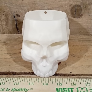 3D Printed skull skeleton Planter. white plant flowers or plants. Hanging rope not included