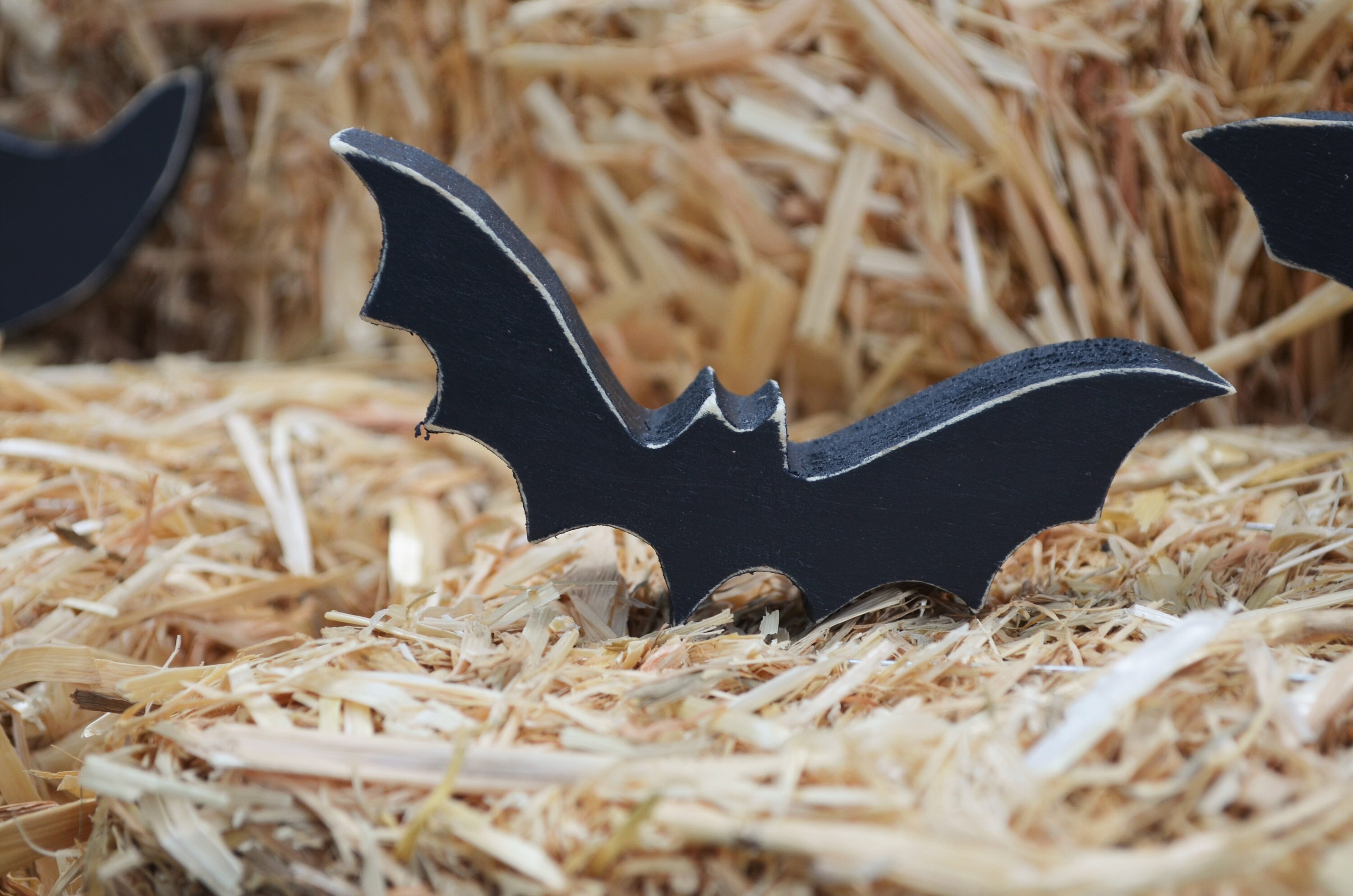 Wood Bats Set of 3 Halloween Decor Bats Halloween Etsy