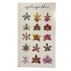Feuille d'autocollants orchidées !