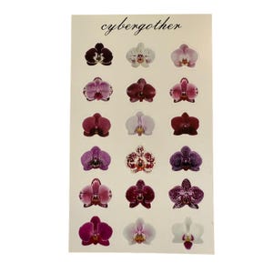 Può includere: Un foglio di adesivi con vari disegni di fiori di orchidea nei toni del viola, rosa, bianco e rosso. Il foglio di adesivi ha la scritta "cybergother" stampata in alto.