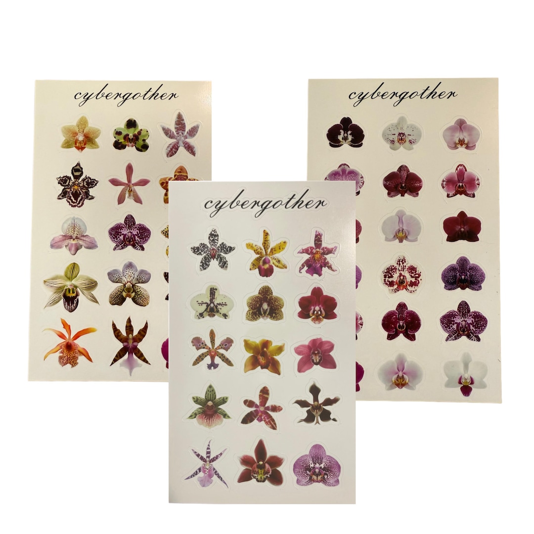Orchid Sticker 3 Pack of Orchid Sticker Sheets ! - Etsy