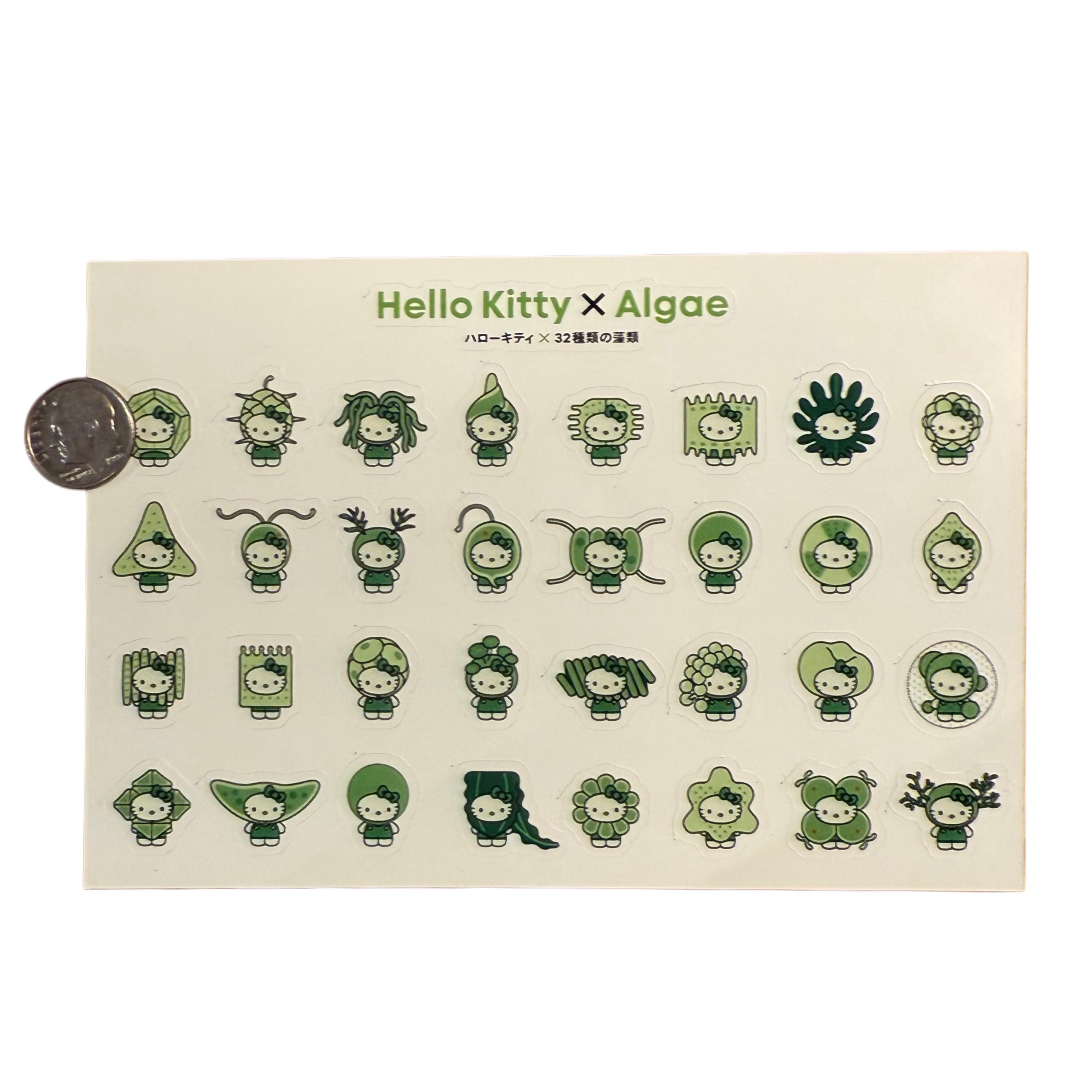 Hello Kitty X Algae Sticker Collab! - Etsy