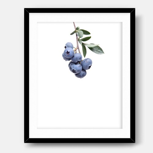 Blueberry Wall Art Blueberries Print Plant Photography Etsy