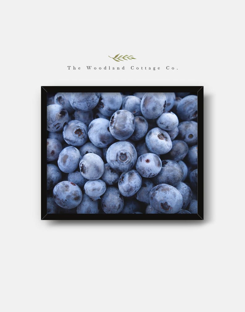 Blueberries Print Blueberry Printable Wall Art Blue Fruit Etsy