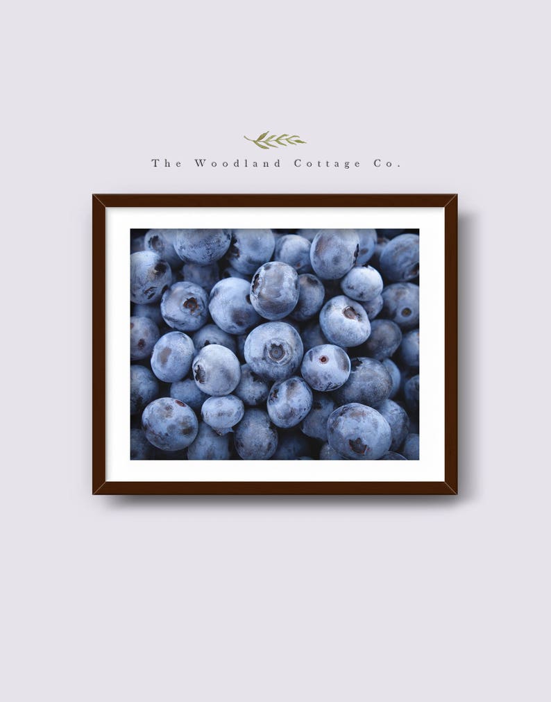 Blueberries Print Blueberry Printable Wall Art Blue Fruit Etsy
