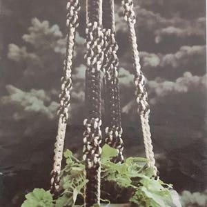 PDF Macrame Pot Hangers