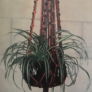 PDF Macrame Pot Hangers