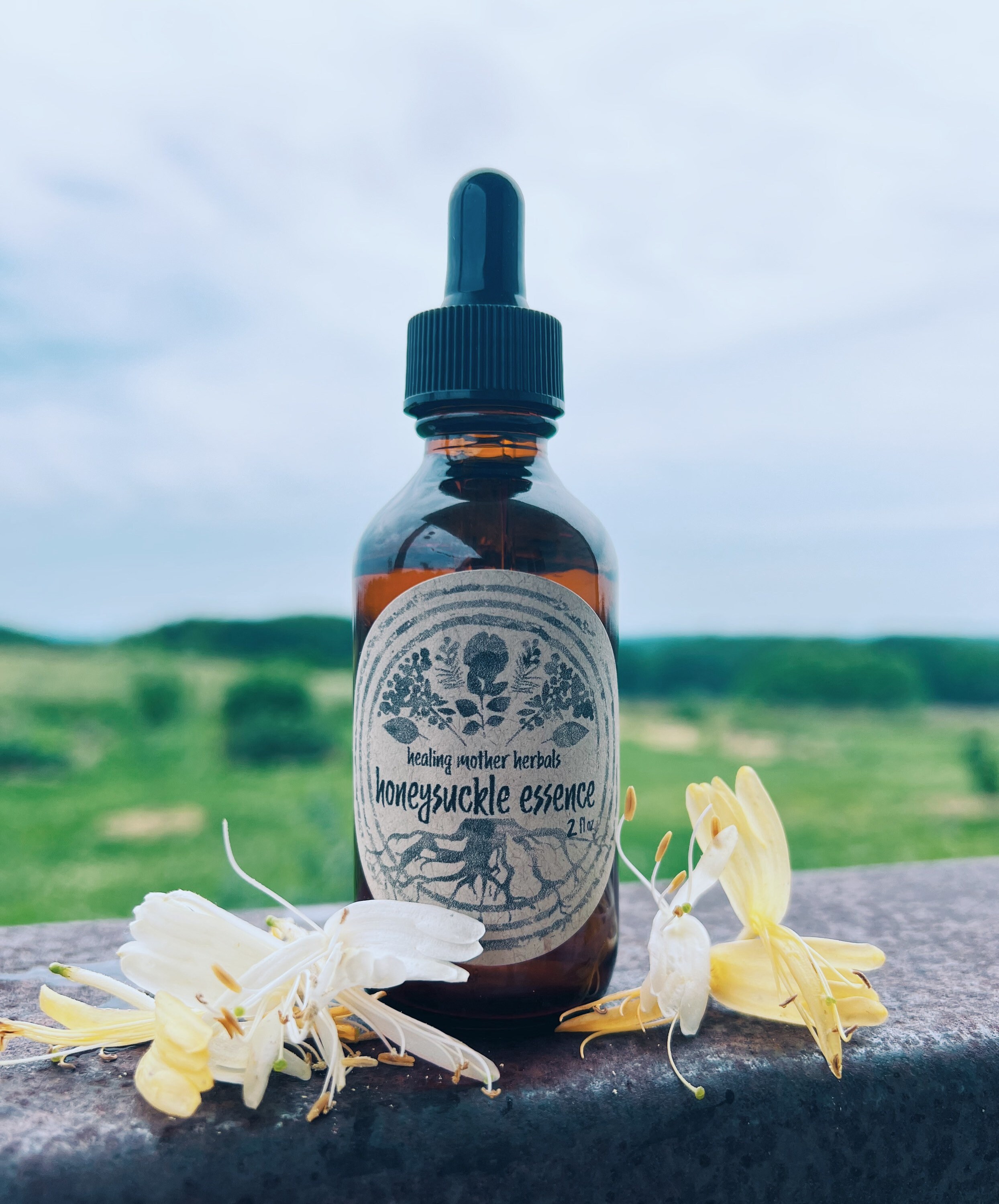 Honeysuckle Flower Essence Emotional Healing Present Moment Etsy