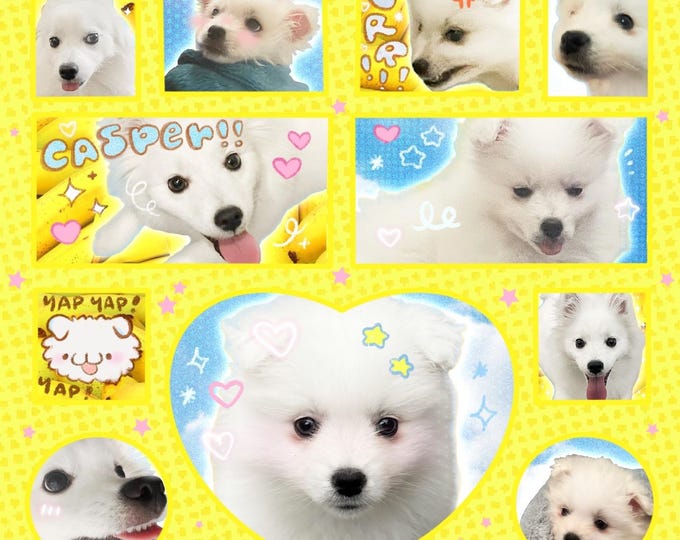 Casper Sticker Sheet Holo Star Laminate