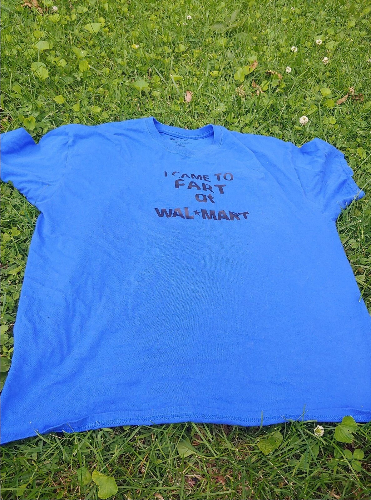 Funny Shirt I Came to Fart at Wal-mart 