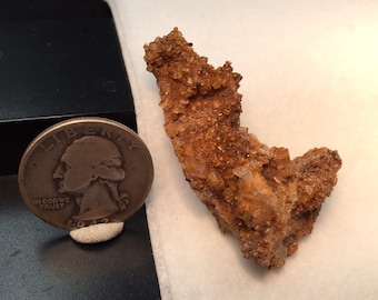 Fluorita de Montana: ¡Nuevo hallazgo! Cristales cúbicos raros en matriz