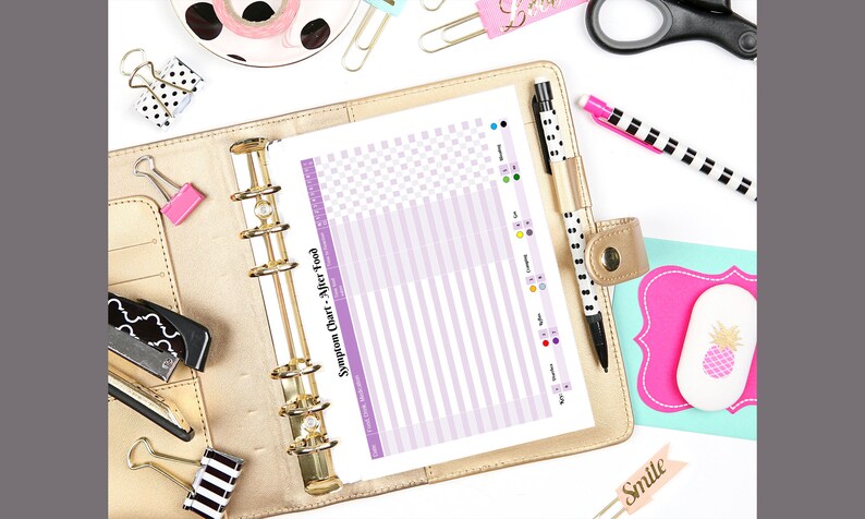 May include: A beige planner with a gold binder ring holds a symptom chart with purple stripes and the text "Symptom Chart - After Food." Other stationery items include pens, paper clips, and a pineapple-shaped sticker.