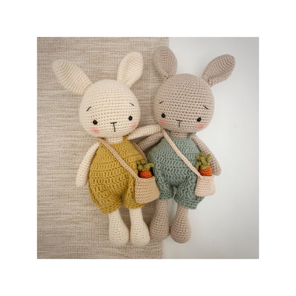 Carottes le lapin du printemps Amigurumi au crochet MOTIF UNIQUEMENT Lapin PDF in English, Español, Français