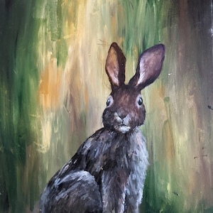 Wild rabbit