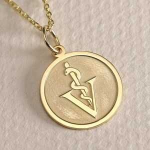 Gold Solid 14K Real Gold Veterinarian Symbol Necklace, Personalized Veterinarian Symbol Pendant, Id Animal Pendant