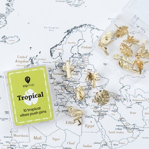 Peut inclure: Un ensemble de 10 punaises tropicales dorées dans un récipient en plastique transparent. Les punaises représentent des palmiers, des ananas et des feuilles. Le récipient est posé sur une carte du monde.