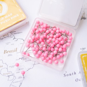 Landkarte Pins Rose/Rosa - Rundkopf-Tacker mit Edelstahlspitze - Matte Oberfläche - Markiernadeln - 100 Stück