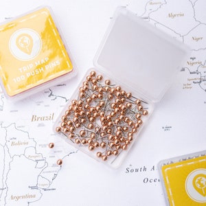 Map Pins Rose Gold - Rundkopf-Tacker mit rostfreier Spitze - Metallic Finish - Pins - 100 Stück