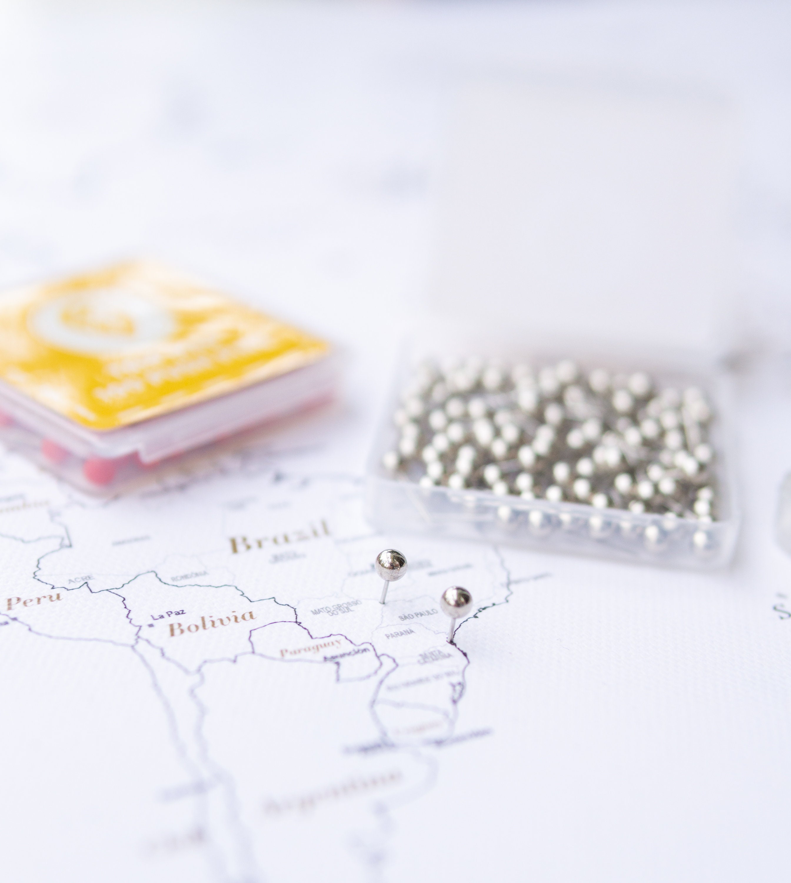 Metallic Silver Push Pins, Pin Map & Globe Accessories