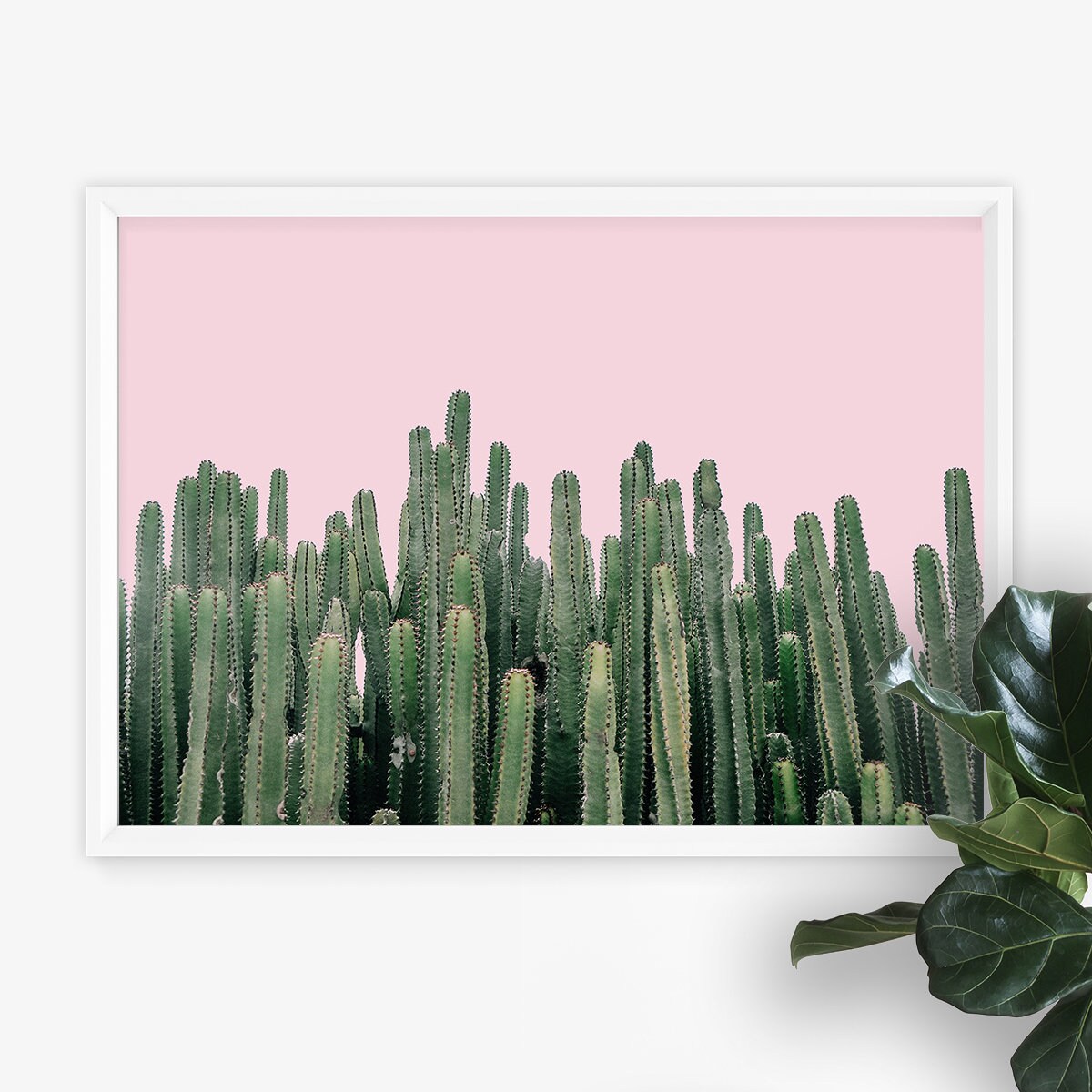 Pink Cactus Wall Art Cactus Photography Modern Cactus Print Etsy