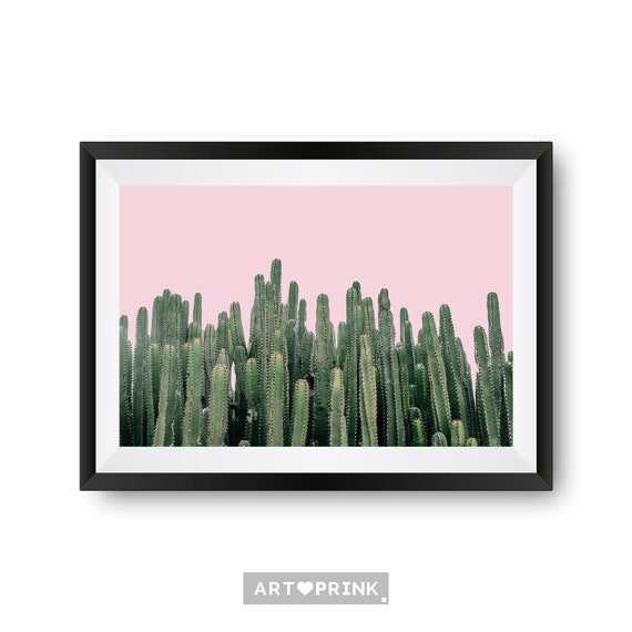 Pink Cactus Wall Art Cactus Photography Modern Cactus Print Etsy