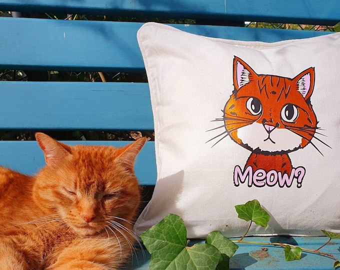 MEOWWW the cute IMPERFECT cat - both versions Meow and perrrrrrrrrfect imperfect