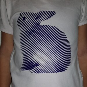 HASE - LineArt -1 Slide Illusion Photo Plott