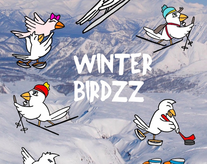 COOL WINTER BIRDZZ - Combi all 7 Birdzz - the cool winter sports birds