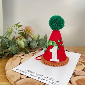 La chenille affamée-Chapeau chenille -Chapeau d&#39;anniversaire-Chapeau chenille anniversaire-Chapeau 1er anniversaire -Chapeau pour gâteau-Chapeau Photoshop-