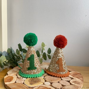 Wild Themed Birthday Hats -wild One- Wild One Hat-birthday Party