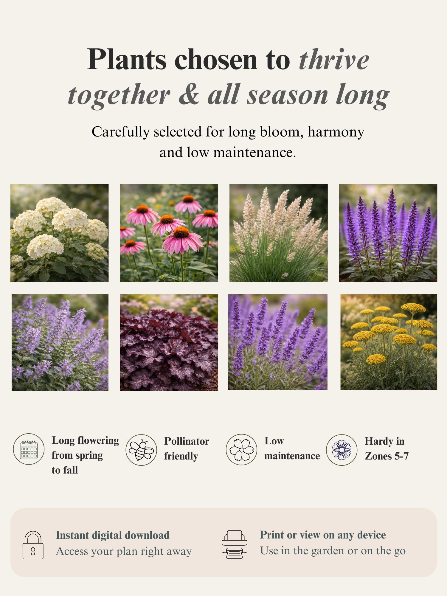 Fence Border Garden Plan PDF | Full Sun Privacy Planting Layout | 7x2m ...