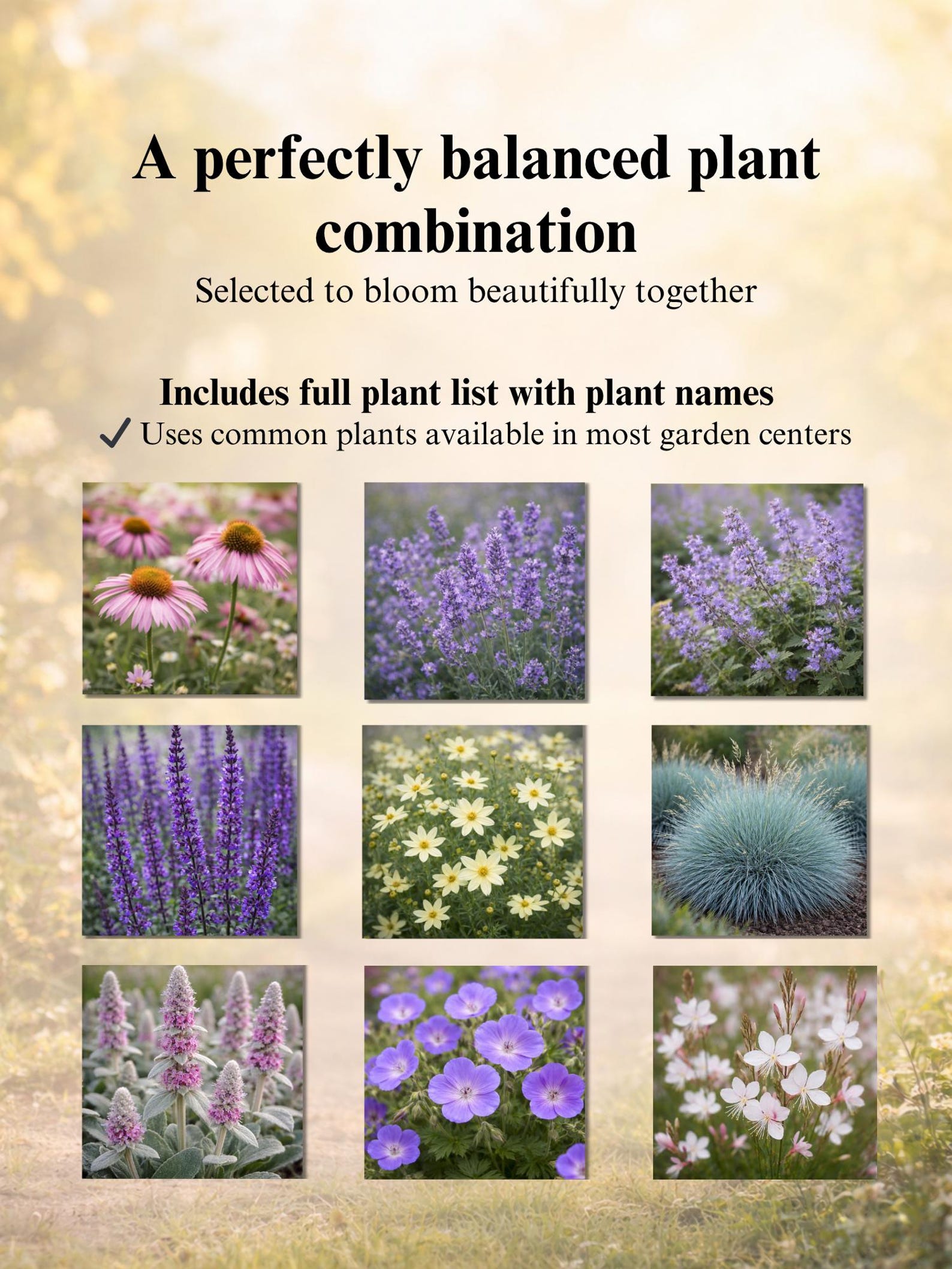 Front Yard Garden Plan PDF | 3x2m (9.8x6.6 Ft) Layout | Beginner ...