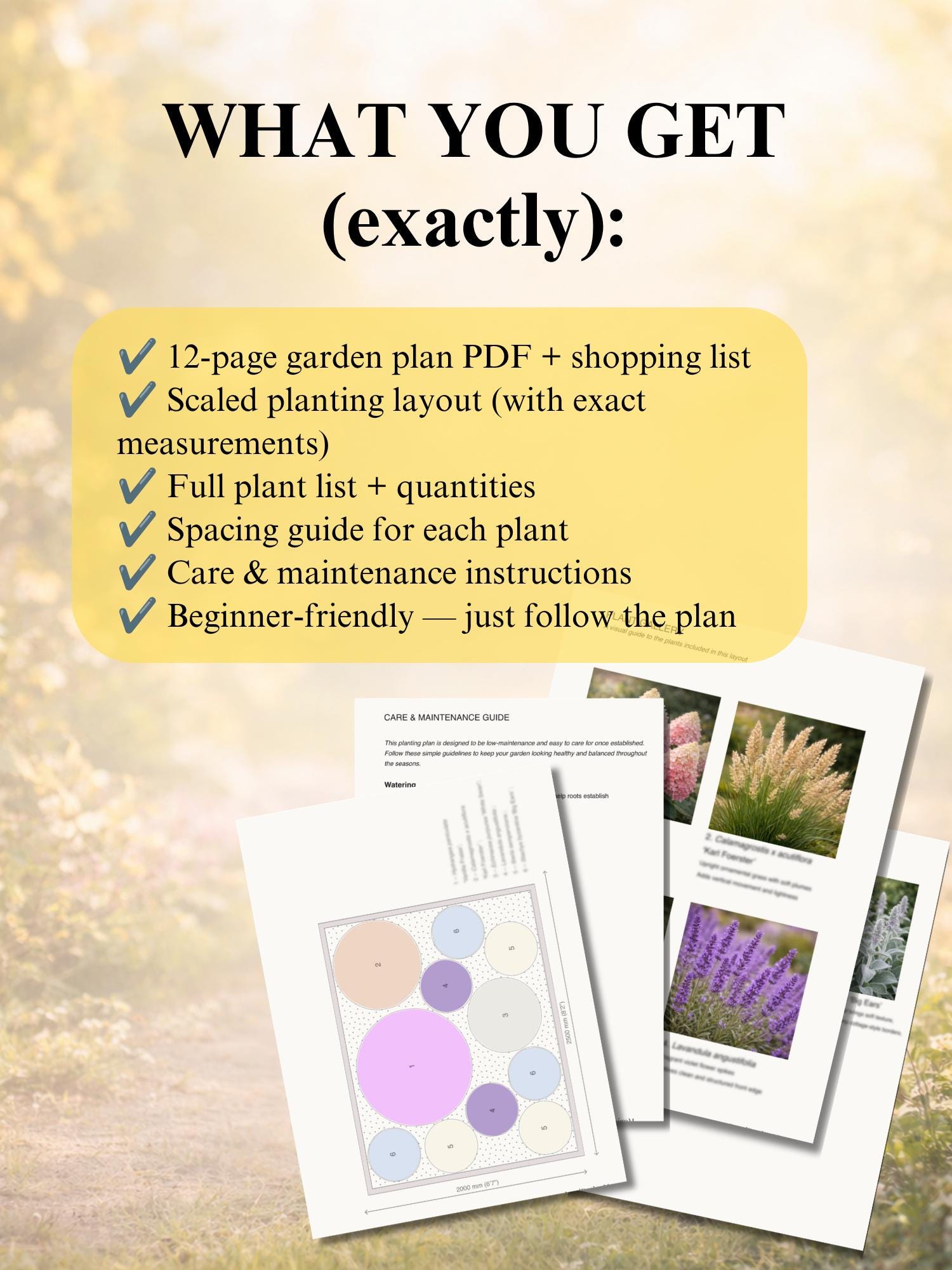 Front Yard Hydrangea Border Garden Plan PDF | Cottage Garden Layout ...