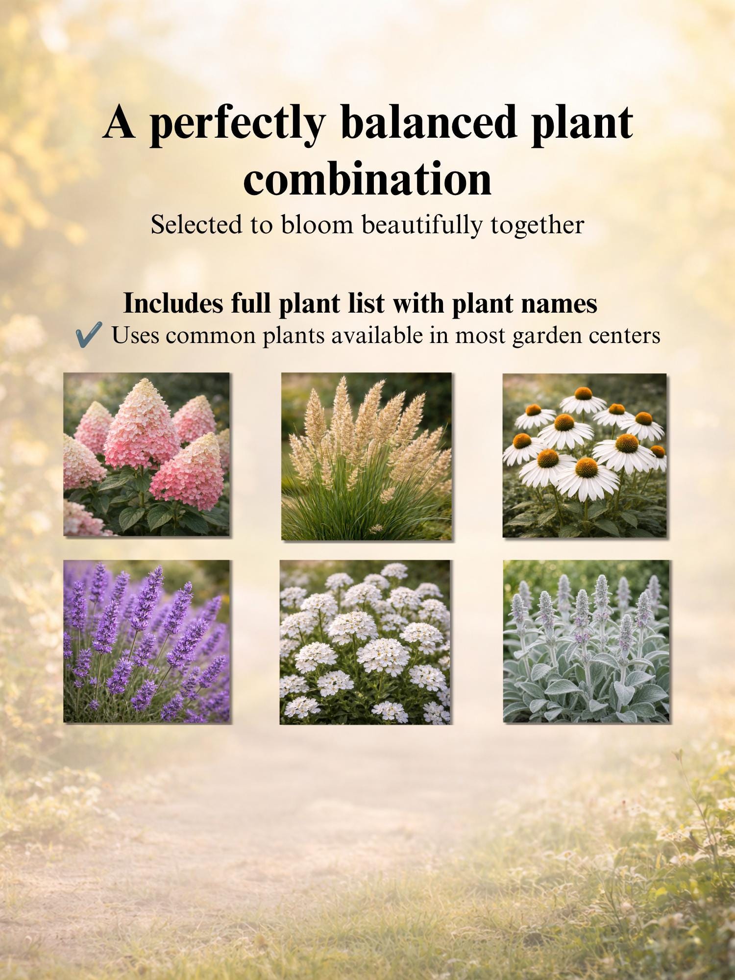 Front Yard Hydrangea Border Garden Plan PDF | Cottage Garden Layout ...