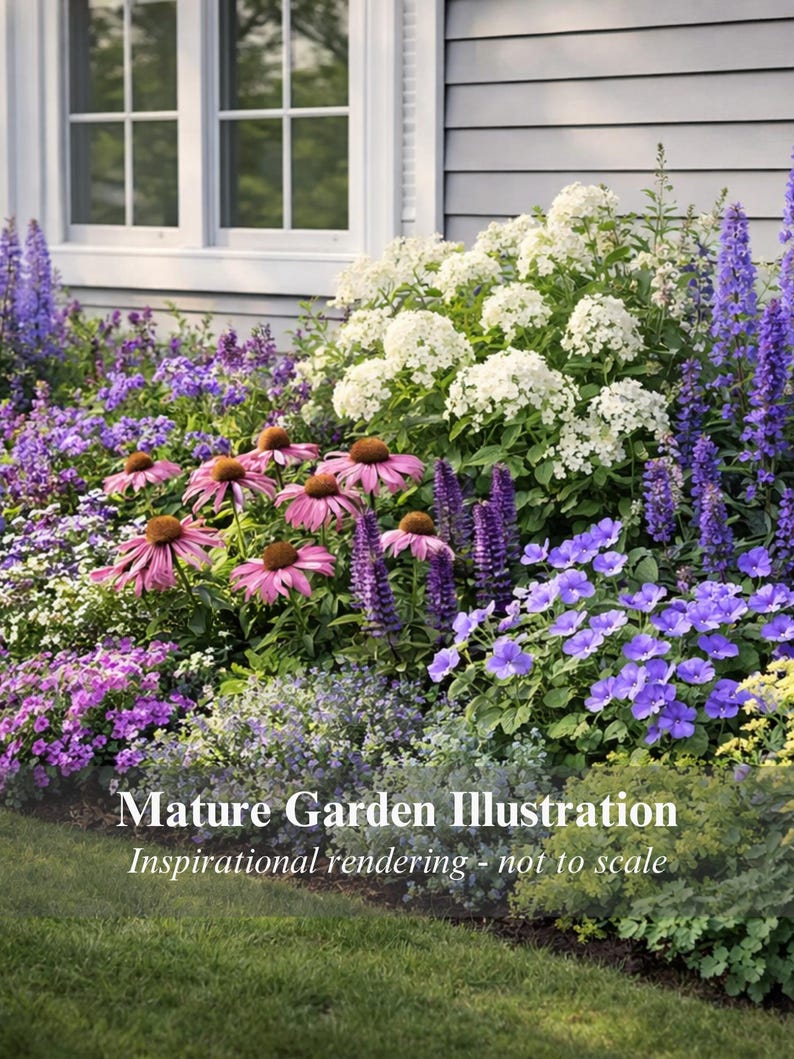 Romantic Cottage Garden Plan PDF | Full Sun Flower Bed Layout 3x2m (9 ...