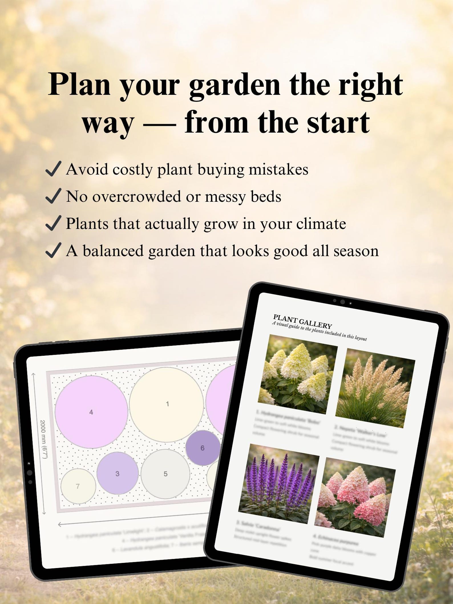 Hydrangea Border Garden Plan PDF | Front Yard 5×2m (16×6 Ft) | Full Sun ...