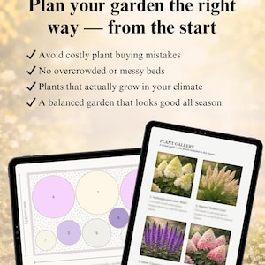 Hydrangea Border Garden Plan PDF | Front Yard 5×2m (16×6 Ft) | Full Sun ...