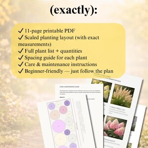 Hydrangea Border Garden Plan PDF | Front Yard 5×2m (16×6 Ft) | Full Sun ...