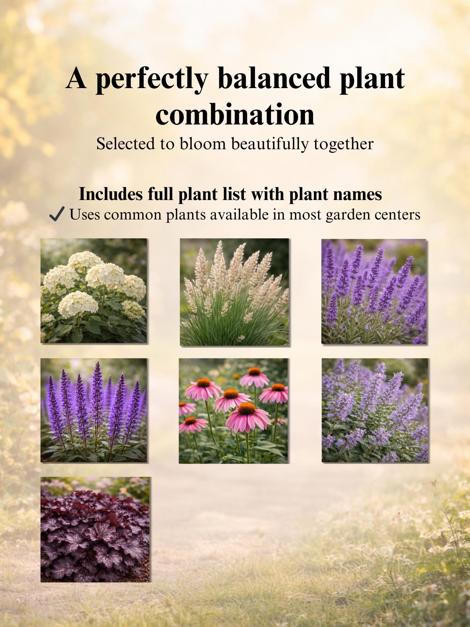 Front Yard Planting Plan PDF | 16×6 Ft (5×2m) Garden Layout | Zones 5–7 ...