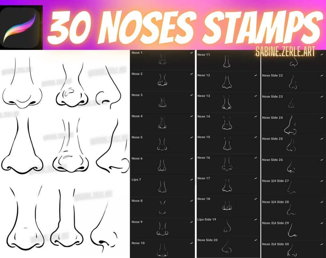 30 Nose Stamps for Procreate Etsy